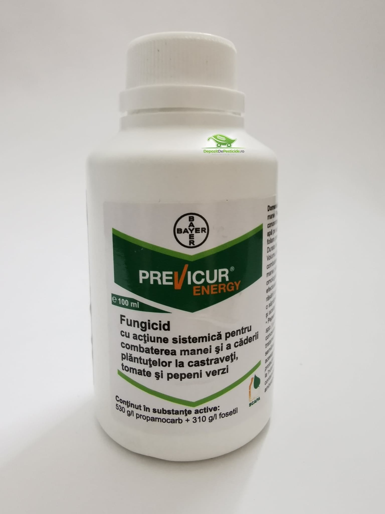 125415246_374955540592844_3931133631606118334_n