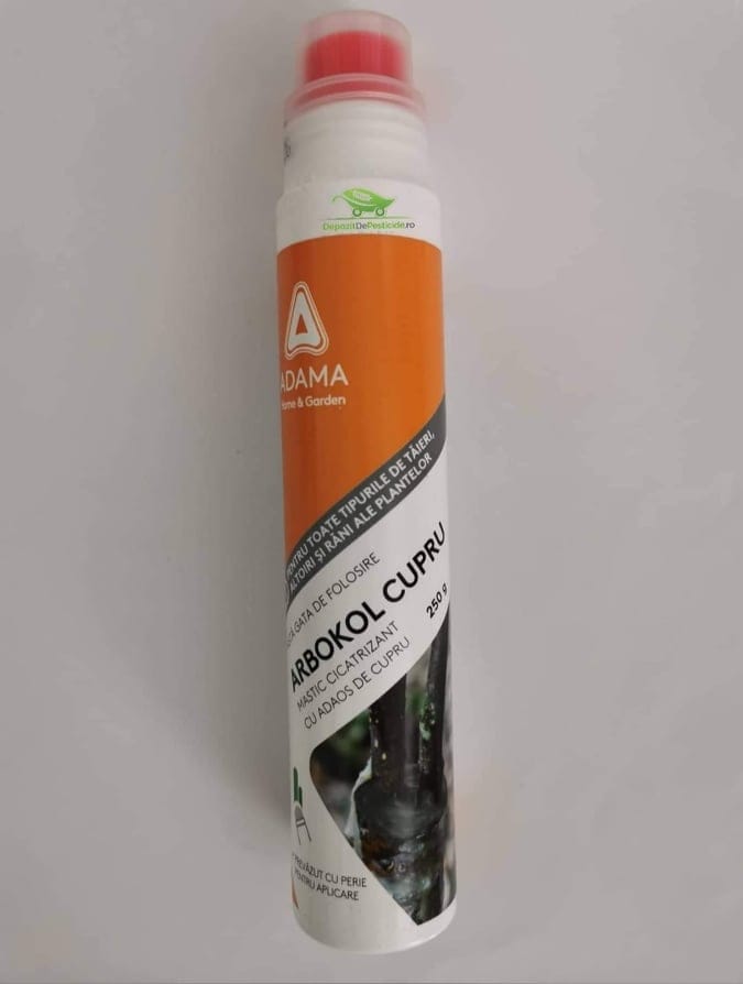 205672947_326077965692967_7803393866620031481_n